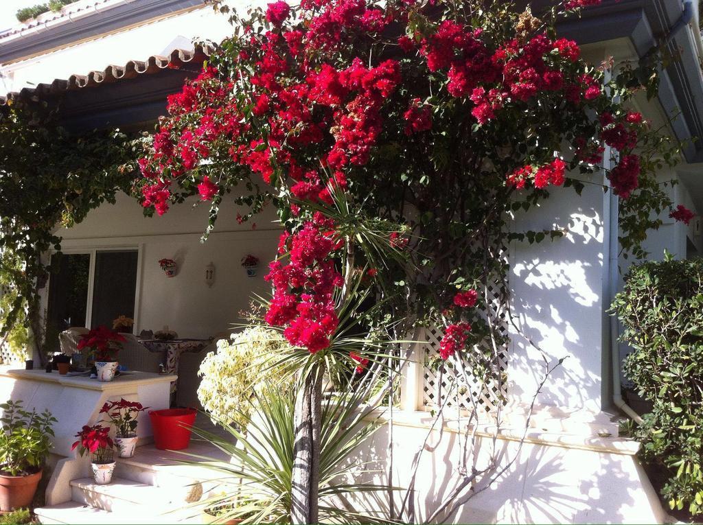 Dominion Apartments Estepona Buitenkant foto